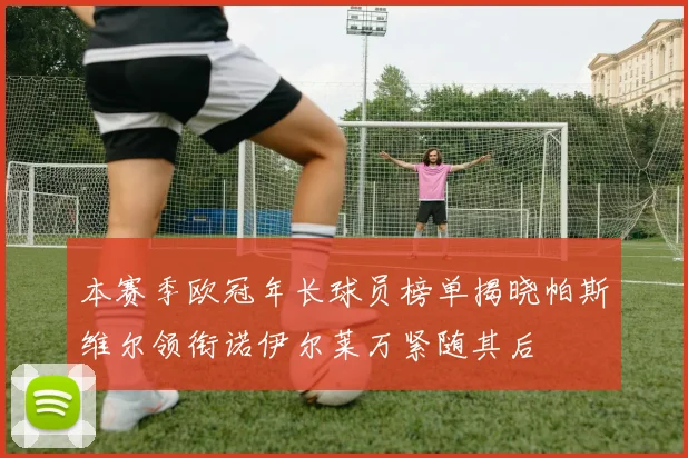 本赛季欧冠年长球员榜单揭晓帕斯维尔领衔诺伊尔莱万紧随其后