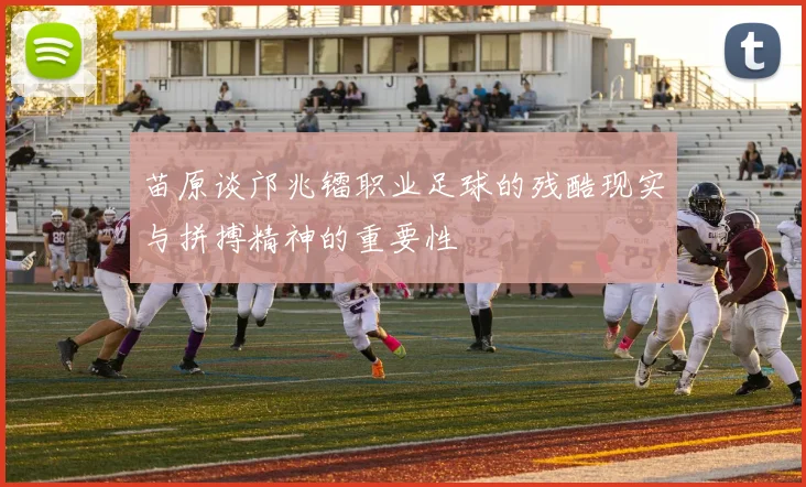 苗原谈邝兆镭职业足球的残酷现实与拼搏精神的重要性