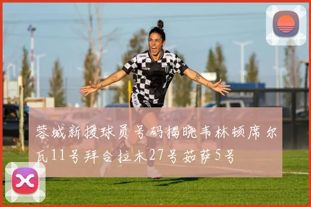 蓉城新援球员号码揭晓韦林顿席尔瓦11号拜合拉木27号茹萨5号